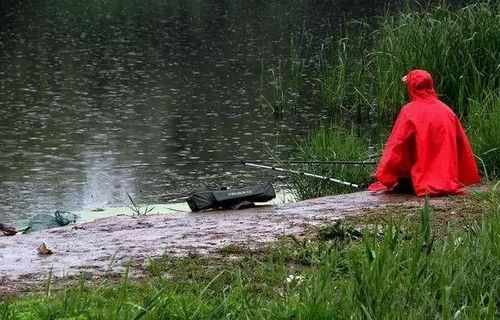 小雨过后如何钓鱼，小雨过后钓鱼怎么样？