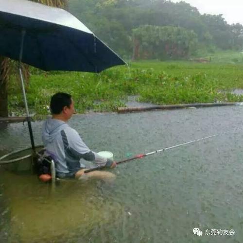 立夏下雨如何钓鱼，夏季下大雨怎么钓鱼