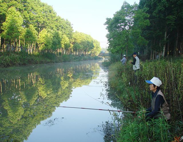 溪边钓鱼如何用漂钓鱼最好？溪边钓鱼如何用漂钓鱼最好呢？