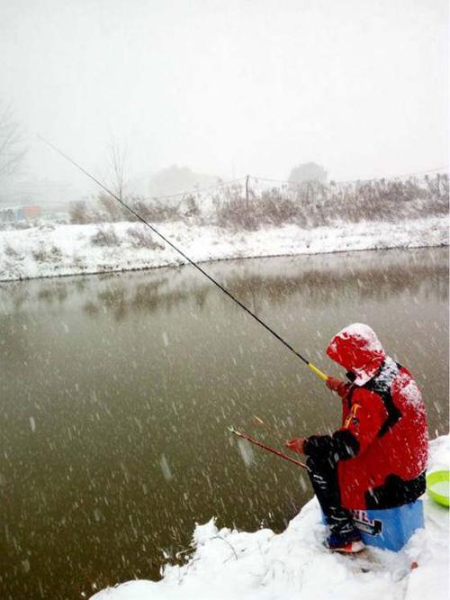 下雪天如何钓鱼，下雪天如何钓鱼最好