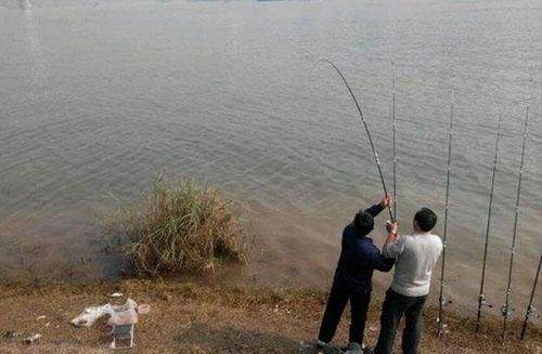 钓鱼如何不下沉？钓鱼怎样才不挂底？
