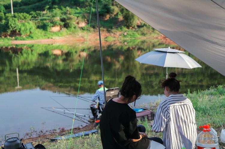 如何自己露营钓鱼？如何自己露营钓鱼视频教程？