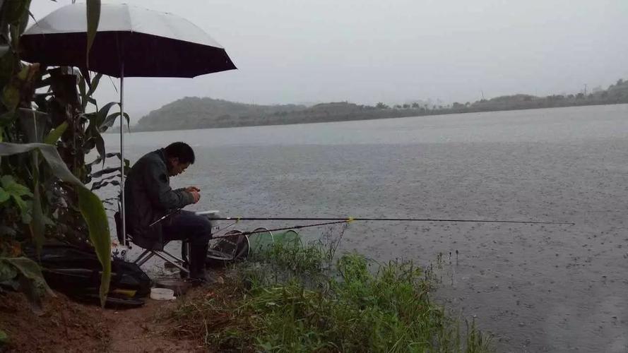 下雨降温后如何钓鱼，大雨降温后钓鱼！