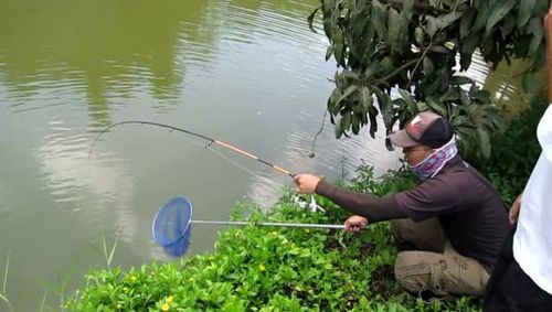 如何在河里快速钓鱼，在河里怎么能钓到大鱼？