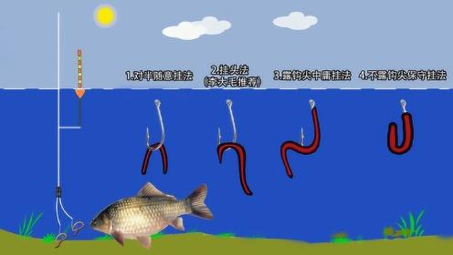 钓鱼如何处理蚯蚓，钓蚯蚓怎么避免小鱼？
