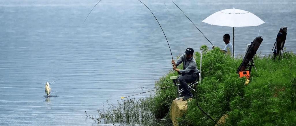 下雨要如何钓鱼最好？下雨了怎么钓鱼？