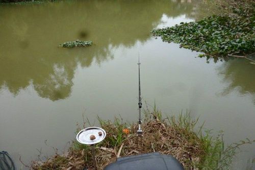 野外钓鱼如何防小鱼，野外钓鱼如何防蚊？