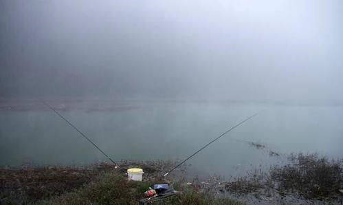 大雾天气如何钓鱼，大雾天气钓鱼要等出太阳吗？