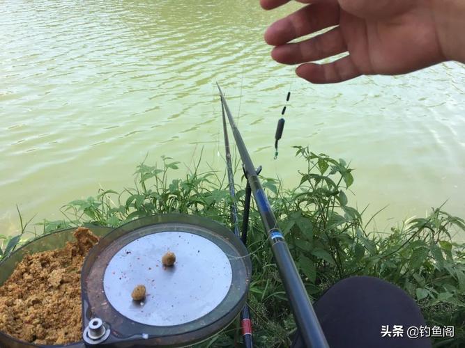 钓鱼如何用鱼饵钓鱼视频教程，鱼饵怎么钓？